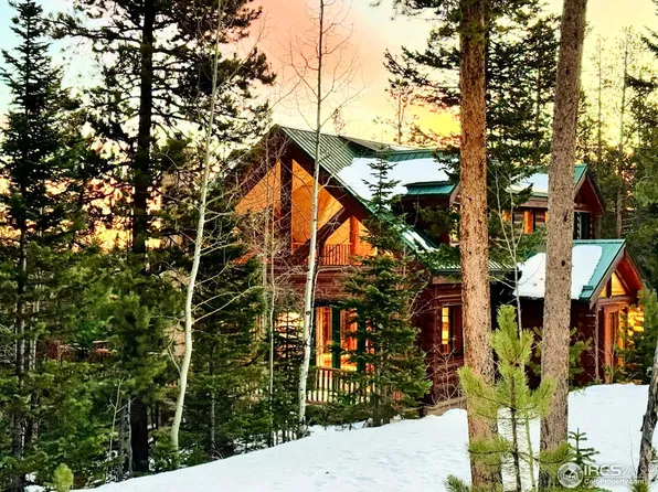 287 S Skinner Rd, Allenspark, CO 80510