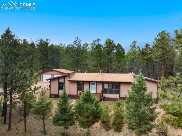 289 Black Mesa Cir, Florissant, CO 80816