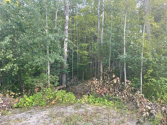 2nd image of 7865 Pineridge Rd