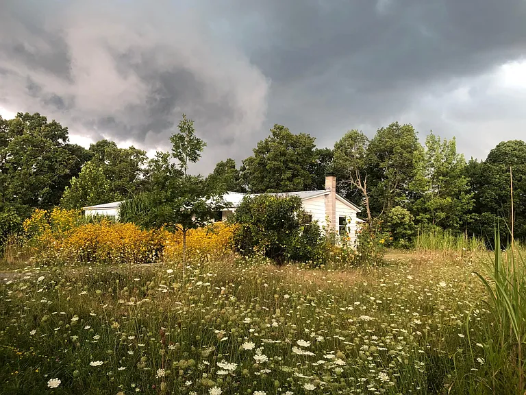 Late summer