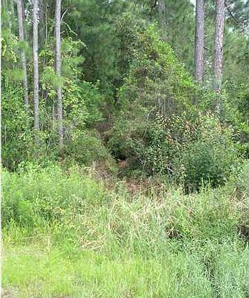 3rd image of 8534 Highway 2301