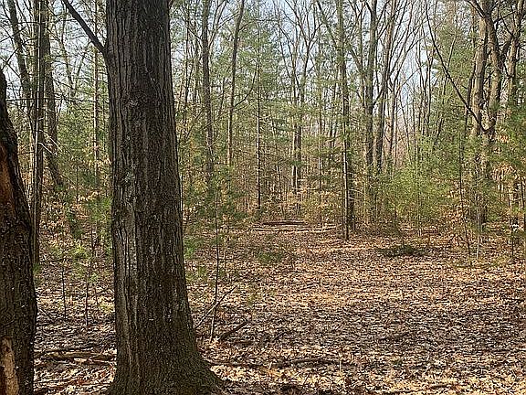 2nd image of 11991 Lymburner Ave