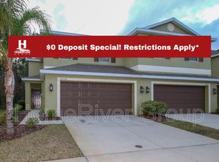 20318 Starfinder Way, Tampa, FL 33647