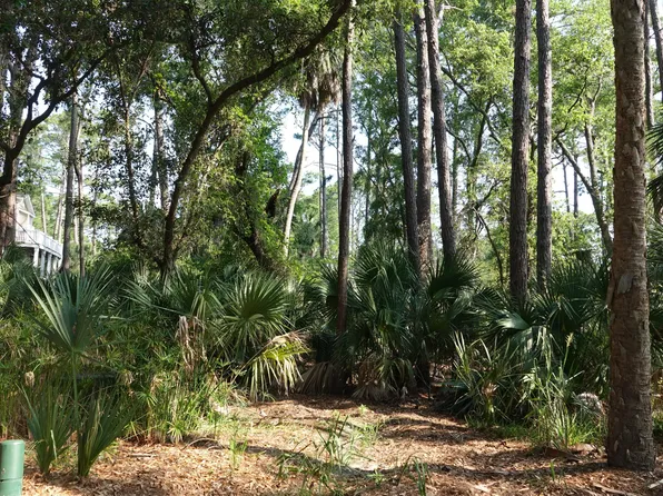 375 Yellowtang, Saint Helena Island, SC 29920