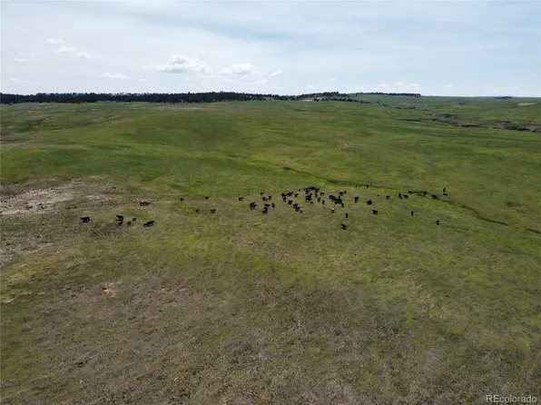 Lot 8 County Road 77 LOT 8, Calhan, CO 80808