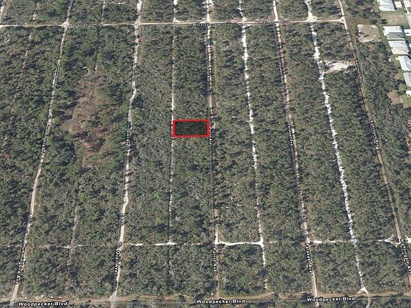2nd image of 533 Parrot Ave