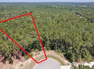 25316 High Meadow West Dr, Montgomery, TX 77316