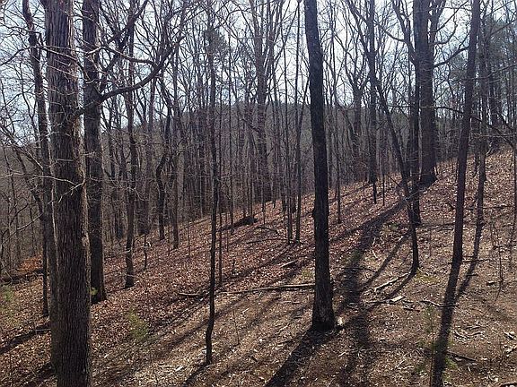 Backyard - Sawnee Mtn Prsrve