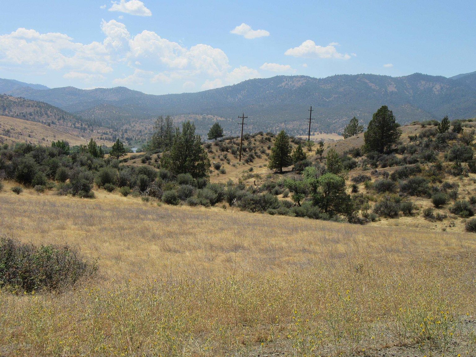 LOT 743 Salmon St, Hornbrook, CA 96044 MLS 20211128 Zillow