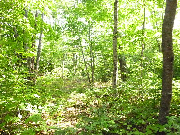 3rd image of Wildwood Ln