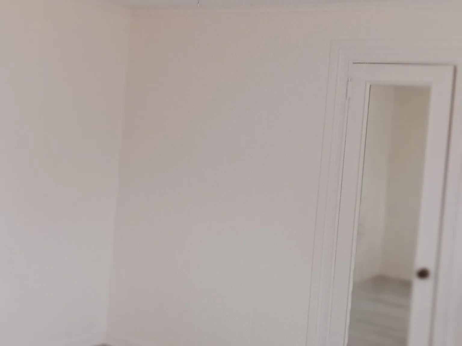 Studio, $799 — Photo 1