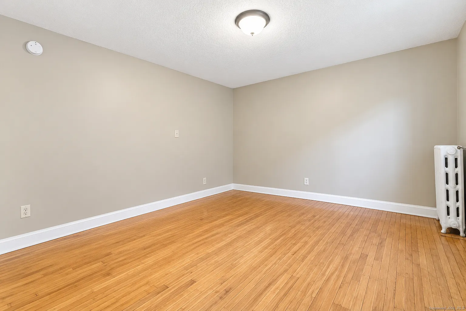 1 bed, $799 — Photo 4