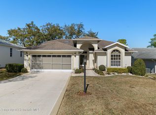8009 Blue Skies Dr, Spring Hill, FL 34606
