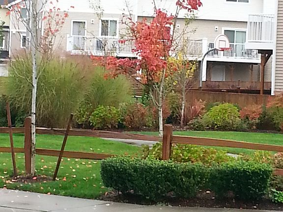 4th image of 17840 75th Ave E