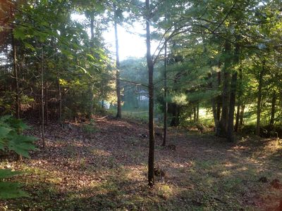 6A Merriman Way Rd, Moneta, VA, 24121