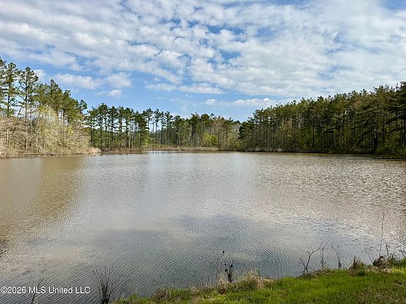 5th image of 27979 Mississippi #12