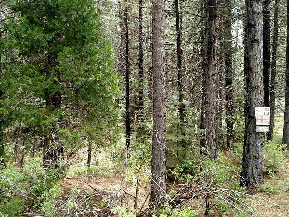 2nd image of 95 Ada Ln