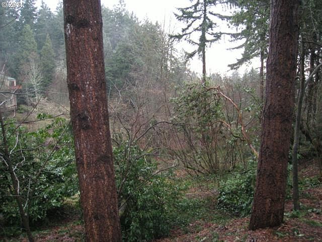 2nd image of Fircrest Dr