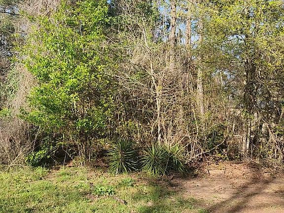 5th image of LOT 7 Sweetleaf Ln