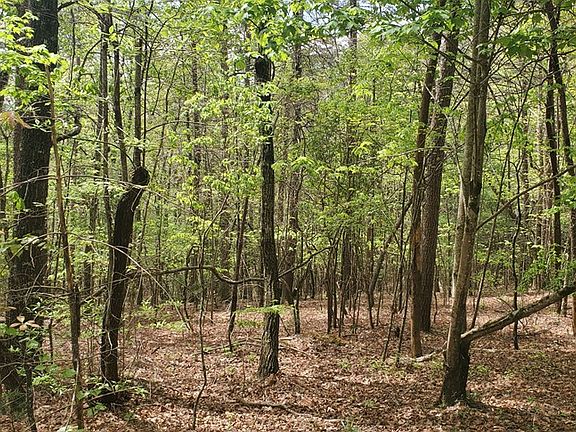 5th image of 36-38 Squirrel Hunting Rd