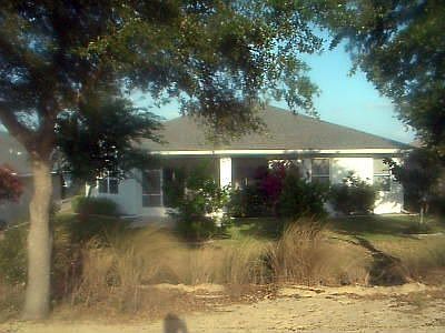 Back yard