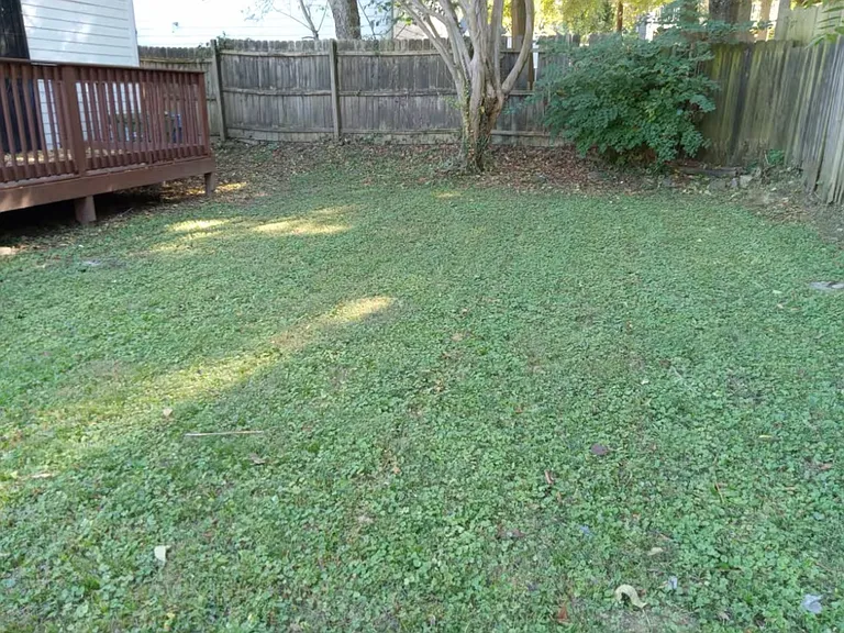 885 Crew St SW — Photo 15