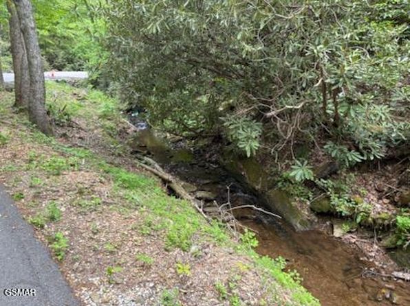 0 Butler Branch Rd, Gatlinburg, TN 37738
