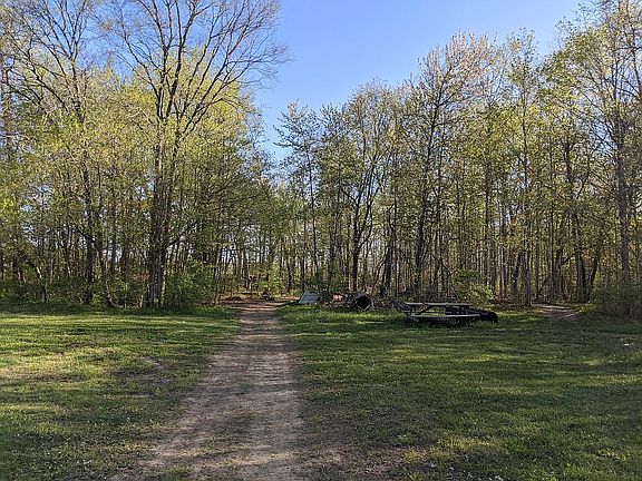 Entrance to the woods