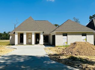9069 Hillon Hood Rd, Denham Springs, LA 70726