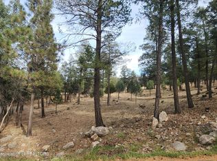 301 Excalibur Rd, Ruidoso, NM 88345