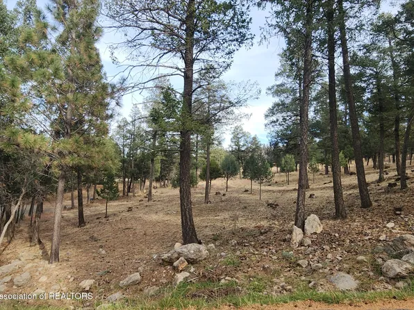 301 Excalibur Rd, Ruidoso, NM 88345
