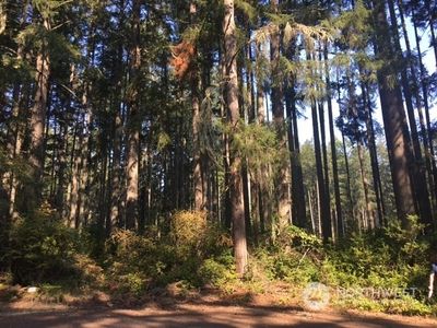 11107 122nd Avenue Ct, Anderson Island, WA, 98303