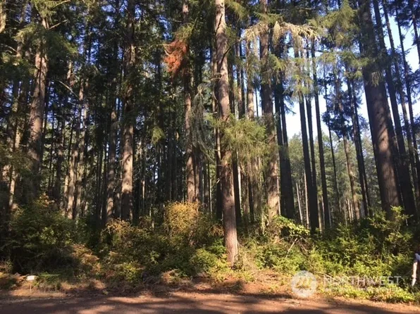 11107 122nd Avenue Ct, Anderson Island, WA 98303