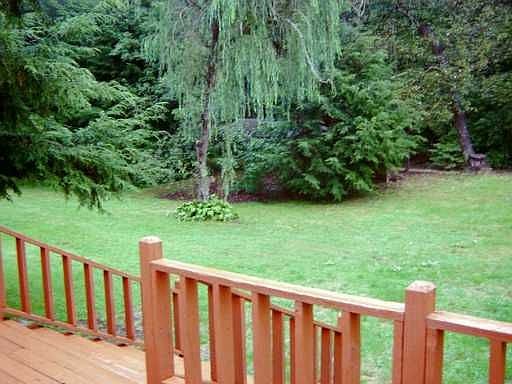 Back Yard from Deck