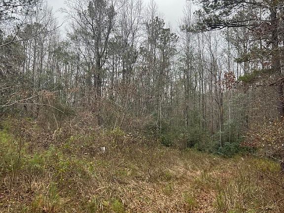 2nd image of 0 County Road 384 #0