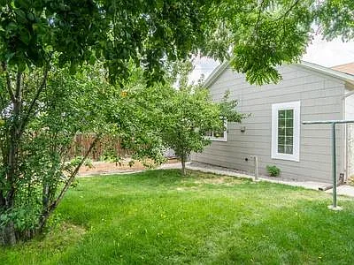 Large fenced backyard shaded by fruit trees