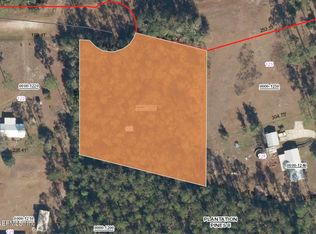 202 TAMARAC Court, Georgetown, FL 32139