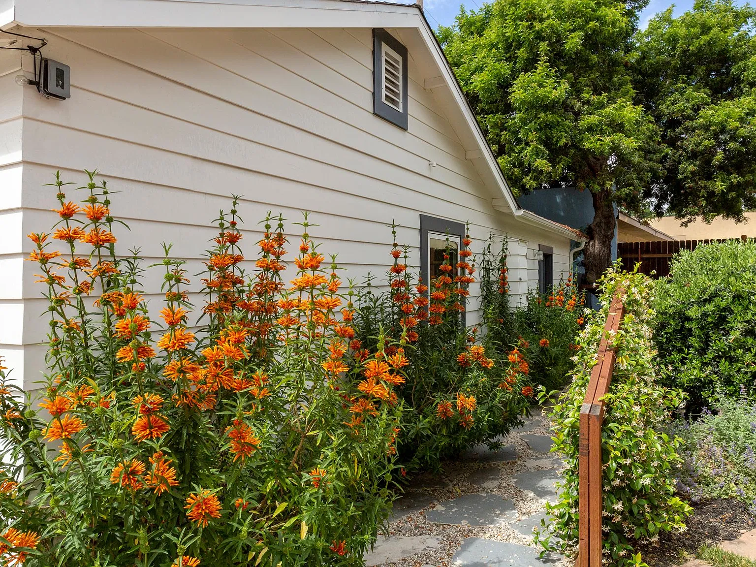 3127 Griffith Park Blvd — Photo 2
