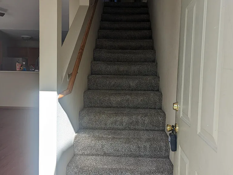 3323 Dove Dr — Photo 11
