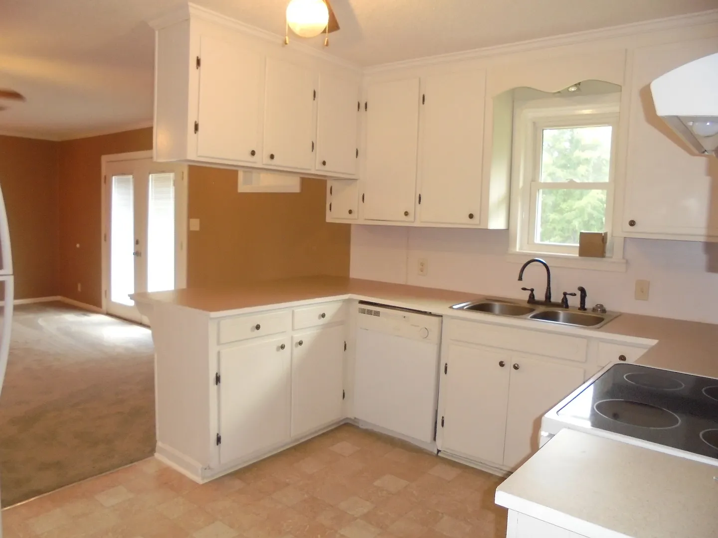 533 County Road 255, New Brockton, AL — Photo 4