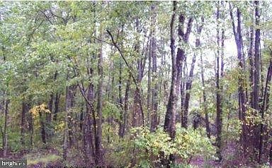 1st image of 7509 James Madison Hwy
