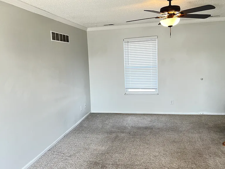 773 Delray Dr — Photo 8