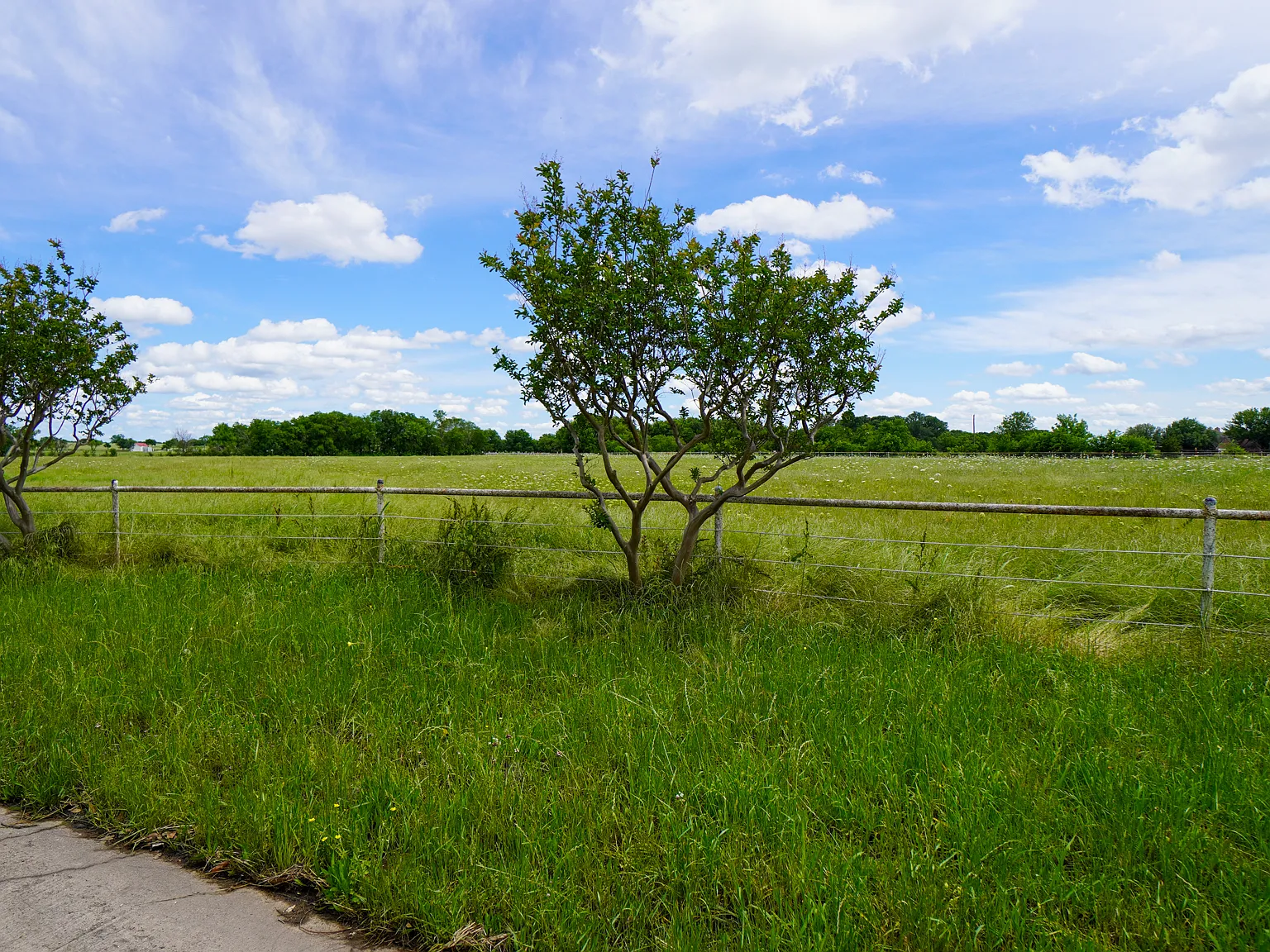 4 bed, 2345 sqft, $2,600 — Photo 4