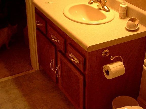 Guest Bathroom, updated 2006