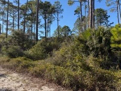 3441 Firefly Cir, Saint Teresa, FL, 32358