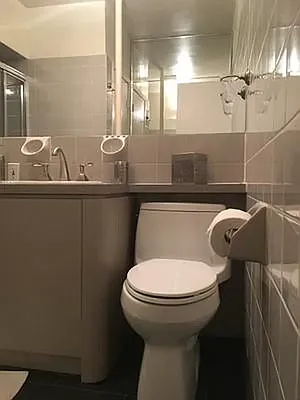 Rented by Manhattan Flats | media 28