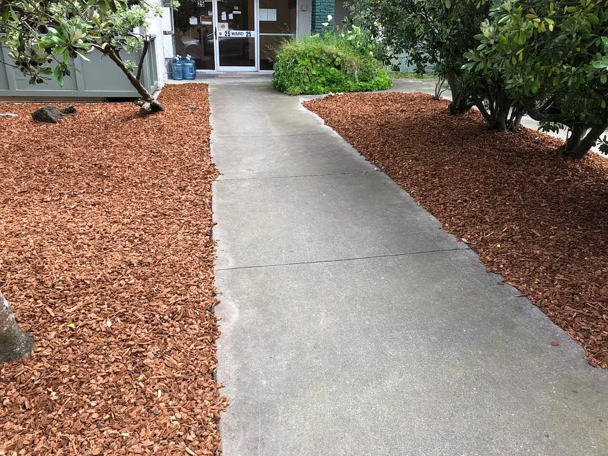 Building entrance - 25 Ward Ct