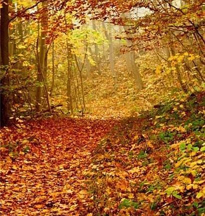 4th image of LOT E6 Unula Loop