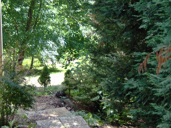 Walk Way to Back Yard