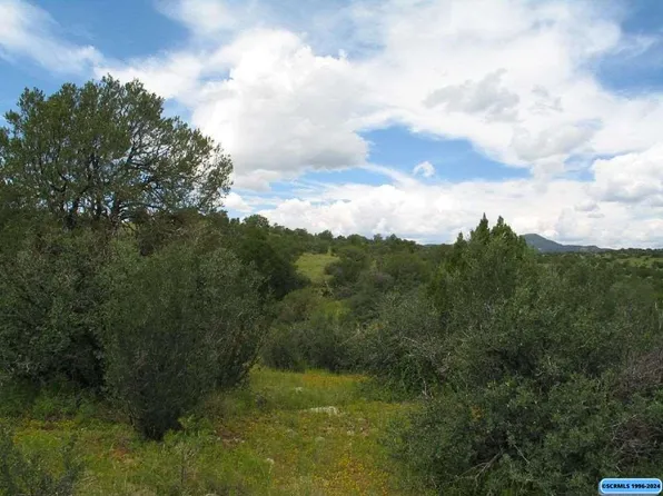 TRACT Xyz Ranch Rd #C, Silver City, NM 88061